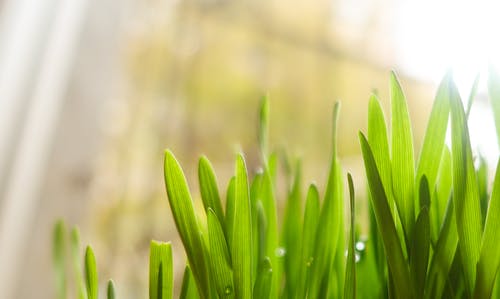 河北二级建造师合格分数线 及格标准是多少