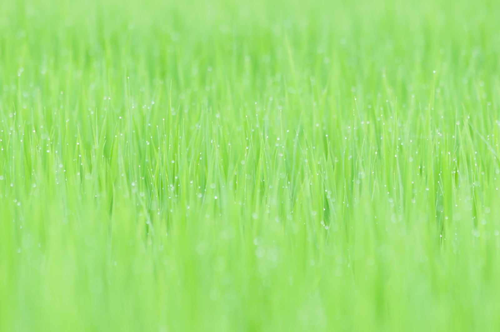 2023年上半年考教师资格证时间是什么时候