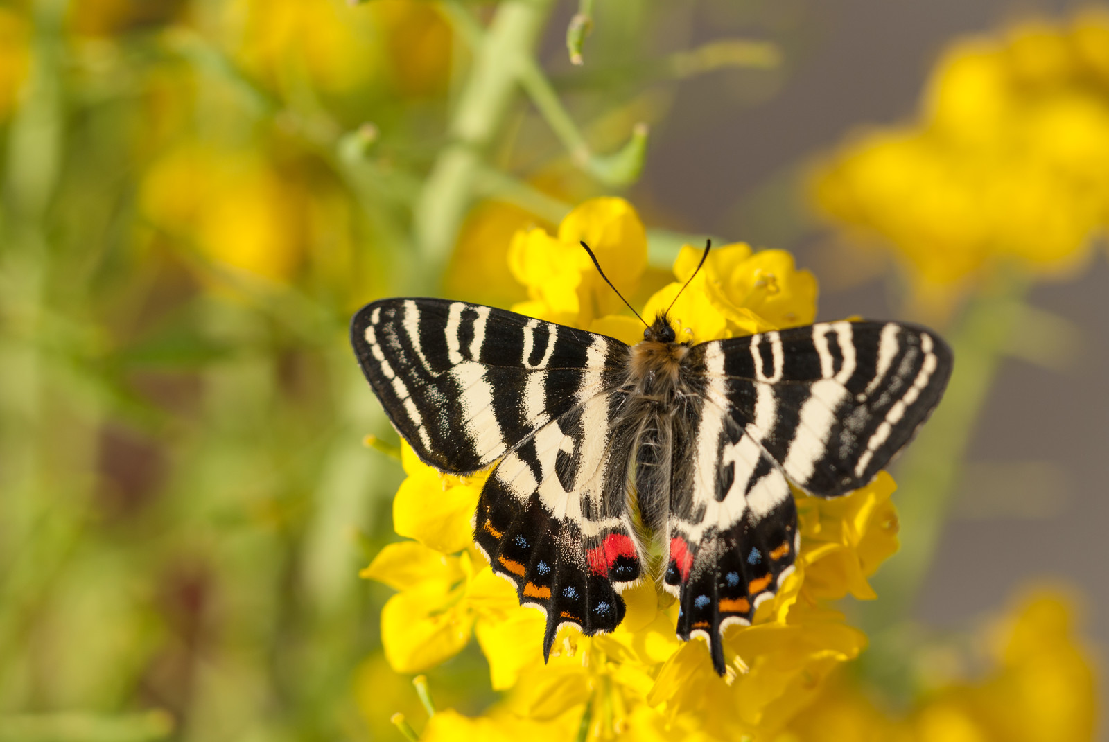 2023二建需要什么条件才可以报考 时间是几月几号