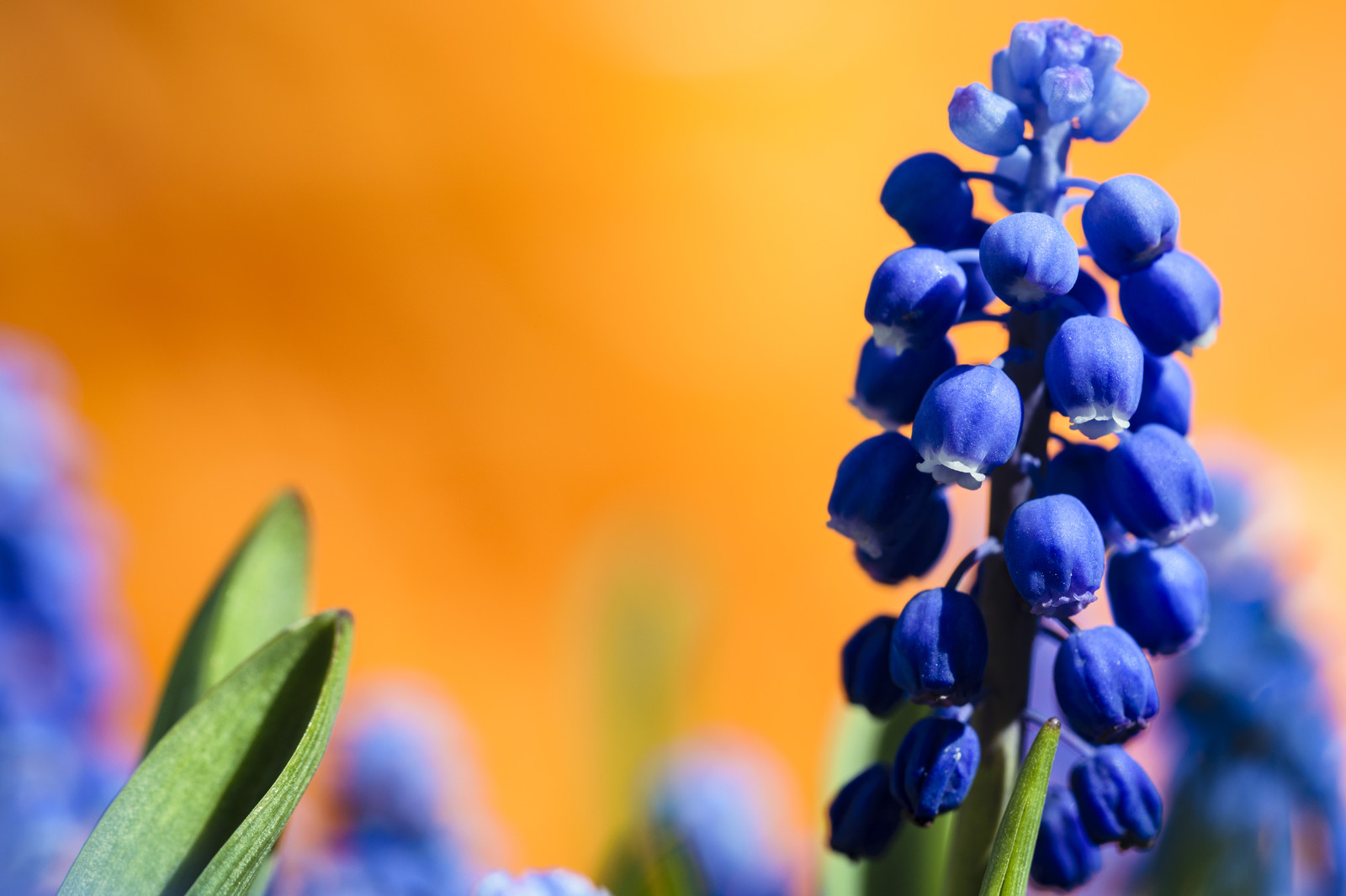 零基础考消防工程师难吗