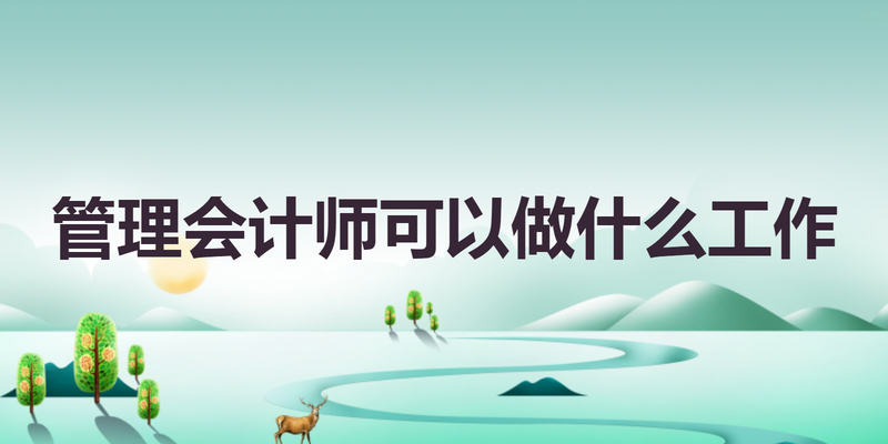 管理会计师可以做什么工作