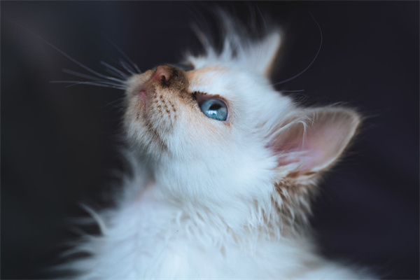 460分左右的公办二本大学 什么二本值得报