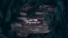 邢台巨鹿县教师资格培训机构地址 