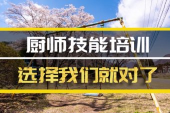 沧州厨师培训机构机构地址