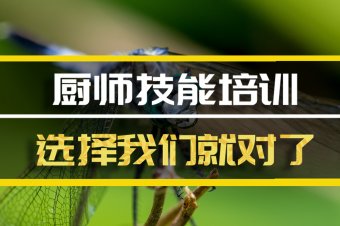 喀什厨师机构培训机构地址