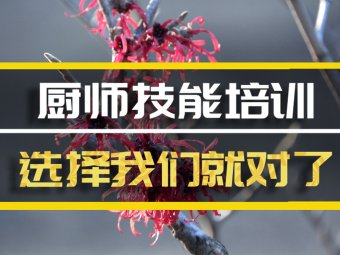 临汾厨师技能培训机构哪家好？