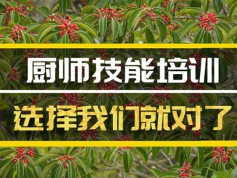 梅州短期厨师培训机构哪家好？