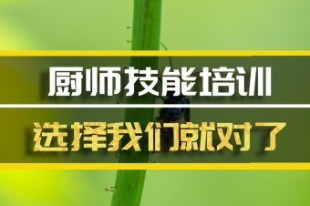 厦门厨师机构培训班，厨师机构培训机构地址