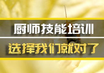 株洲厨师机构机构哪家好？
