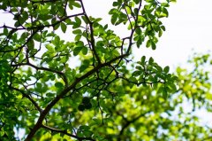 智慧消防工程师培训